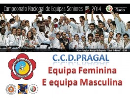 Campeonato Nacional de Equipas Seniores 2014